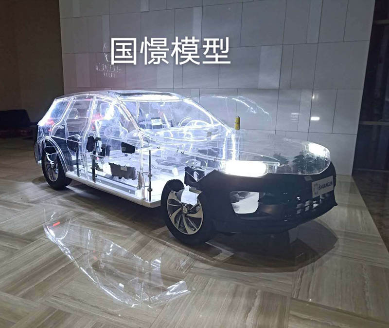 伊通透明车模型